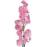 (ヒル・インテリアズ) Hill Interiors 桜 造花 アーティフィシャルフラワー イミテーションフラワー デコレーション (ワンサイズ) (ピンク)