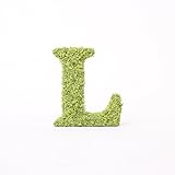 A plus floral art インテリアグリーン イニシャルモス [ L ] アルファベット オブジェ 置物 苔 イニシャル 雑貨 北欧風 インテリア