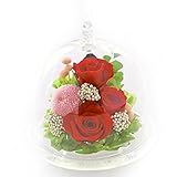 アートフォーシーズン うさぎプリザ (レッド)