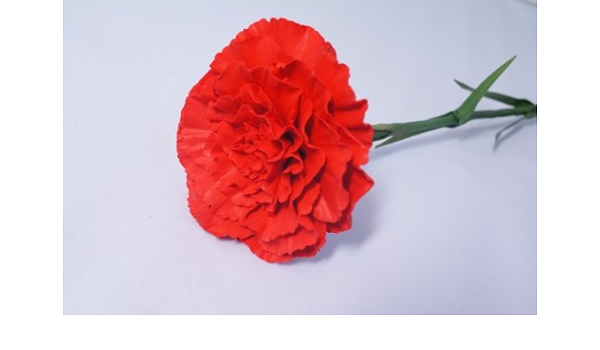 買い誠実 パン粘土の花 カーネーション フラワー ガーデン Kishanhydro Com