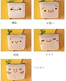 ゼリー・コイン・ハンドバッグ (ハッピー)