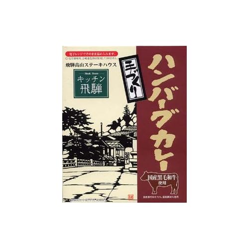 飛騨ハム キッチン飛騨 手づくりハンバーグカレー