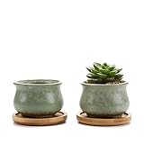 T4U 6.7CM スプリングシリーズ NO.5 敞口型 多肉植物、サボテン鉢 プランター容器 竹製トレイ付き グリーン 2点入り