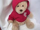 Aeropostale Teddy Bear 16 Collectible ; with Red Sweatshirt Hoodie [並行輸入品]