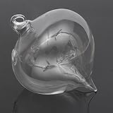 ロマンチック な デザイン クリア タマネギ ぶら下げ ガラス花植物花瓶水耕コンテナ ポット ホームデコレーションパーティー透明美容-clerar