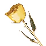 Long Stem Dipped 24K Gold Trim Gypsy Rainbow Rose in Gift Box by Allmygold Jewelers [並行輸入品]