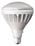 岩崎 LEDアイランプ16Wタイプ(本体:白色 光色:昼白色) LDR16NHW850