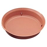 アイリスオーヤマ 受け皿 セーヌ鉢受皿 6号 ブラウン