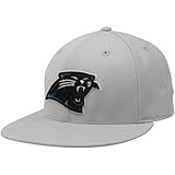 Carolina Panthers Flex Fit OneサイズFits All Best Fits 7 1 / 8 – 7 5 / 8グレー