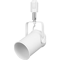 【M2989-131-100】ダクトレール スポットライト E26 12個セット Amazon.co.jp : ダクトレール用スポットライト器具 E26 E17 E11