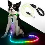 YFbrite 光るリード-防水犬用 15段階点滅モード搭載 - 夜間 Type-C USB充電式-中型犬、大型犬に最適な超高輝度LED犬用リード (150cm)