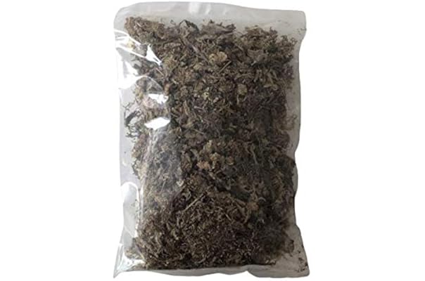 Amazon 水苔 40g 床材 両生類 天然採集 乾燥水苔 産卵床 テイコばあさまのオリジナルメッセージカード付き 新型ウイルスの感染状況などによっては 安全面を考慮して付属なしなど仕様が変更となる場合があります ノーブランド品 底砂 床材