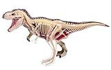 青島文化教材社 スカイネット 立体パズル 4D VISION 動物解剖 No.22 T-REX...