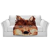 ブランケットウルトラソフトFuzzy 4サイズ！DIANOCHEデザインからby Dawn Derman FoxyホームDecor Unique Designer芸術的スタイリッシュな寝室アイデアCo