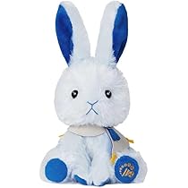 41yrBChhKoL._AC_UL210_SR210,