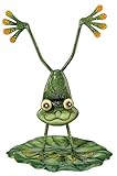 Regal Art & Gift REGAL10265 Handstand Frog
