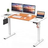 ERGOMAKER 電動式昇降デスク スタンディングデスク（幅140×奥行60cm）ホームオフィス用の高さ調節可能 人間工学 パソコンデスク