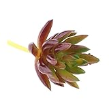 Homyl 13タイプ選べる　造花　良い品質　人工多肉植物　花飾り装飾　DIY人工植物 - タイプ12