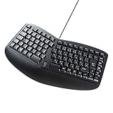 サンワサプライ エルゴノミクスキーボード 有線 USB接続 メンブレン 日本語109A配列 SKB-ERG3BK