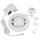 Ruanyi 2835SMD 3W 36LED、暖かい白、クールホワイト、EUプラグUS Plugシングルベッドモーションアクティブベッドライト、1.2Mフレキシブルストリップタイマーセンサー ( 色