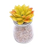 Homyl 人工多肉植物　ミニ鉢植え　オフィス家　装飾　インテリア　3色選べる - イェロー