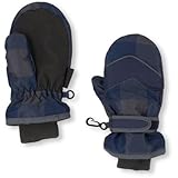 THE CHILDREN'S PLACE(ザ・チルドレンズプレイス) プラッド 3-In-1 ミトン グレー スチール 小物 4～5歳【並行輸入】