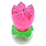 (ライチ) Lychee 誕生日キャンドル ロータスモチーフ ダブルレイヤー 花びらに小さいろうそく バースデーパーティー 結婚式 お祝い 写真撮影 選べる5色