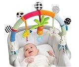 Taf Toys Rainbow Arch. Baby Stroller and Pram Activity Bar by Taf Toys [並行輸入品]