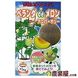 メロン 種 【 アニバーサリー 】 種子 小袋（約6粒）
