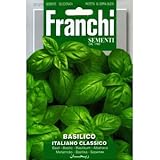 [ 西洋野菜 種 ] バジル イタリアーノ クラシコ