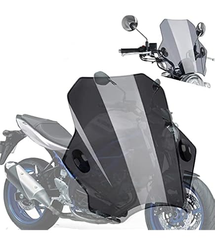 Amazon | SW-MOTECH ウィンドスクリーン シルバー Suzuki SV650 ABS(15 