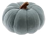 Boston International Pumpkin Decorative Table Accent, Small, Teal