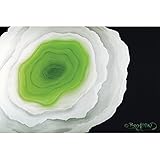花の内(グリーン) by David Bromstad – 18 x 12