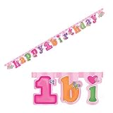 Fun at One Girl Large Jointed Banner by Creative Party