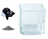 花市場直送便 ミニチュアガラス クジラ ブラック & カラーサンド ブラック & 植え込み用グラス ニューブロックS