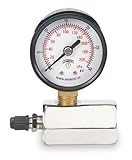Oatey 019718 Cherne Gauges with 3/4-Inch FNPT Test Body by Oatey
