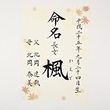[萌舟] 毛筆代書付き命名書 A４サイズ もみじ