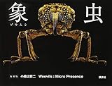 象虫 Weevils:Micro Presence 復刻版