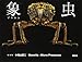 象虫 Weevils:Micro Presence 復刻版