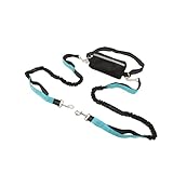 多機能リード 犬リード ダブルリード 訓練リード ロングリード 手持ち散歩リード １本で色々使える ペット用品 反射材料 ナイロン製 通気性 調節可能 伸縮 暴走制御 (青, バッグ付き)