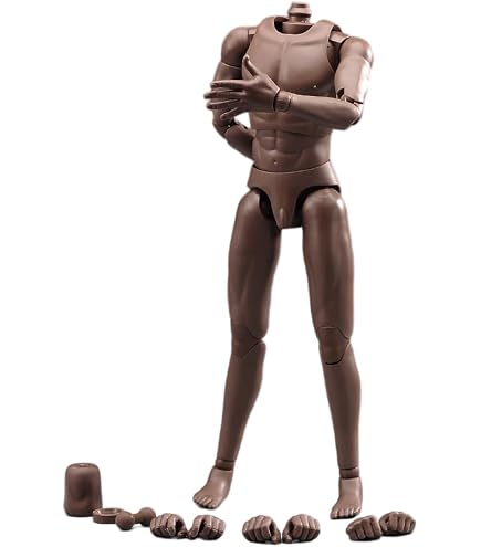 Amazon.co.jp: 1/6スケール ナローショルダー 男性 ボディドール