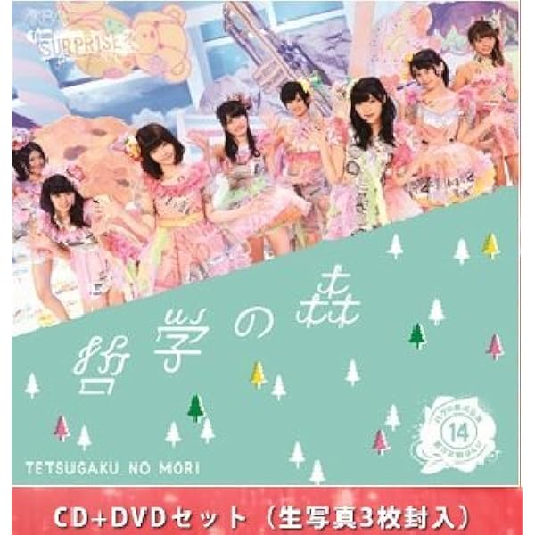 Amazon.co.jp: 美しい狩り Cd+dvd Typeb (Akb48チームサプライズ