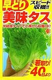 アタリヤ農園 早どり美味タス180