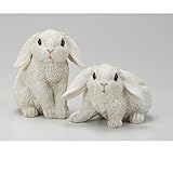 エイチツーオー　カントリーラビットＬ　２種セット　HT6022