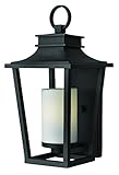 1744BK Outdoor Sullivan Light [並行輸入品]