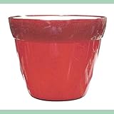 【4個入】イタリア製樹脂ポット(植木鉢/プランター) COCCO(コッコ) φ8cm/穴無し Gレッド(赤) 〔ガーデニング用品/園芸〕 生活用品 インテリア 雑貨 花 ガーデニング プランター [並