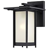 Westinghouse 6203800 Clarissa 1 Light Outdoor Wall Lantern, Textured Black [並行輸入品]