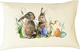 Holiday Special Dordor & Gorgor Personalized Cute Drawing画像100 %オーガニックコットン枕カバーの低刺激性枕(ウサギ)