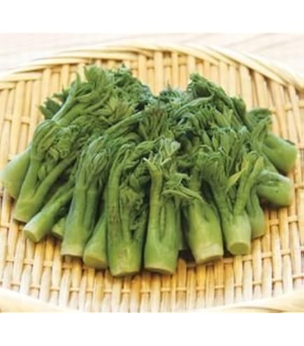 Amazon.co.jp: 北海道産 朝採り タラの芽 15個 たらの芽 : 食品・飲料