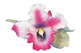 カポディモンテOrchid and Branch Fuschia